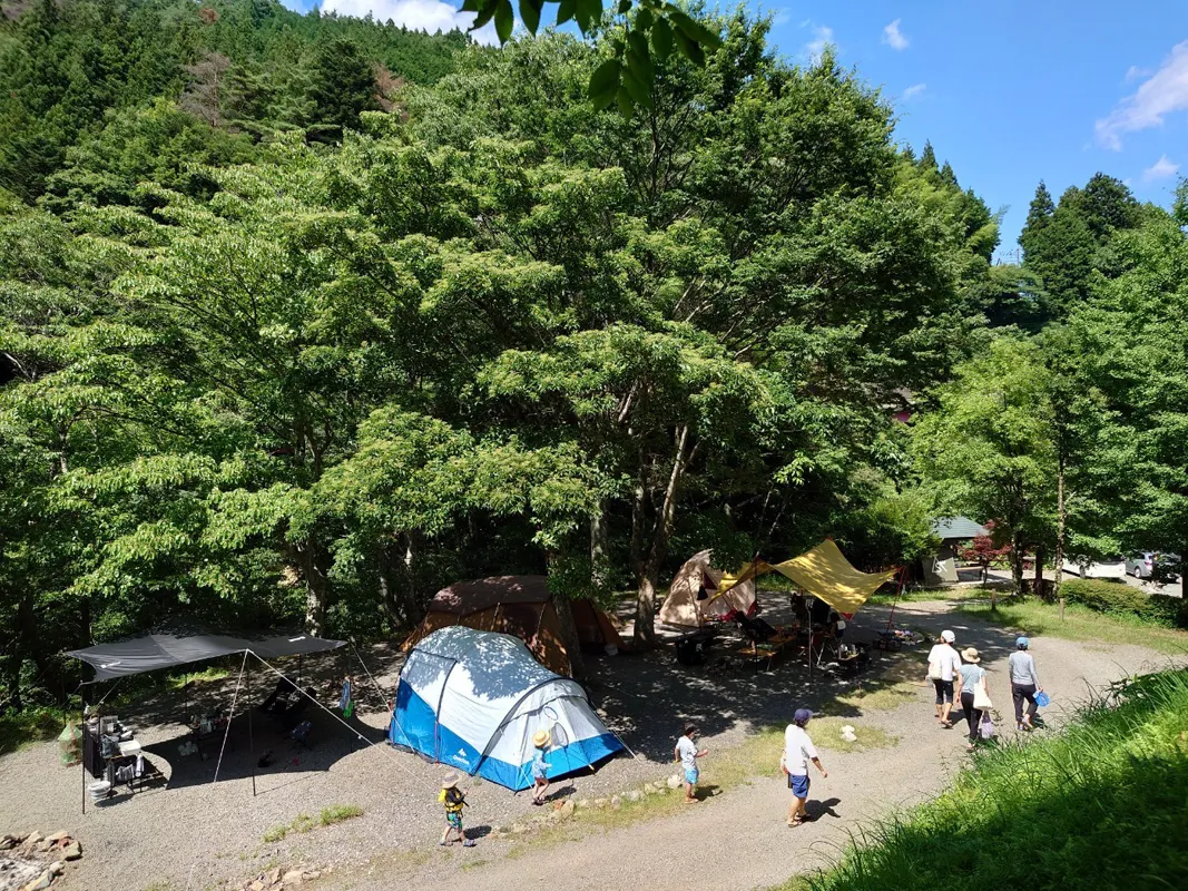 水源の森キャンプランドのようす