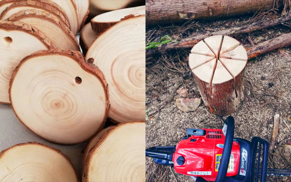 まなび／Forest Tribes